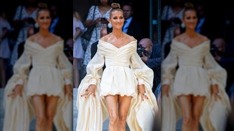 Outrageous Outfits Worn By Celine Dion 